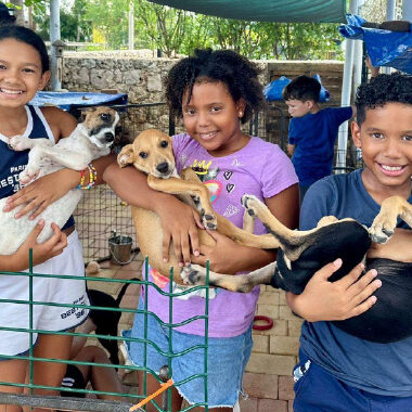 fun morning animal lovers awaa sgt peppers buki di pret activity