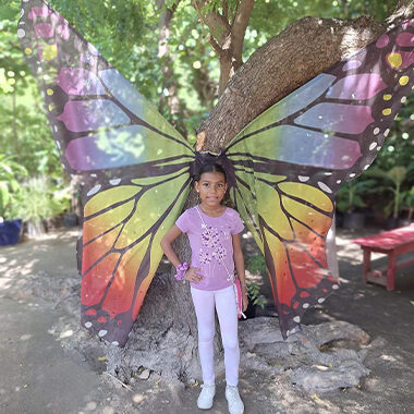 Guided tour butterfly farm buki di pret activity