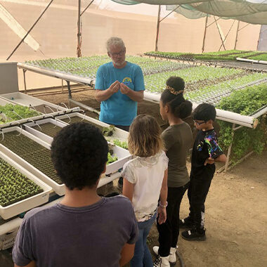 tour at a lettuce farm happyponics aruba buki di pret
