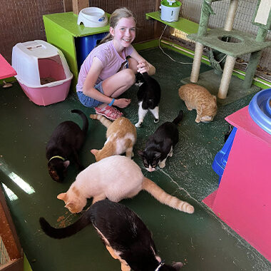 Tour art cat shelter nine lives aruba buki di pret activity