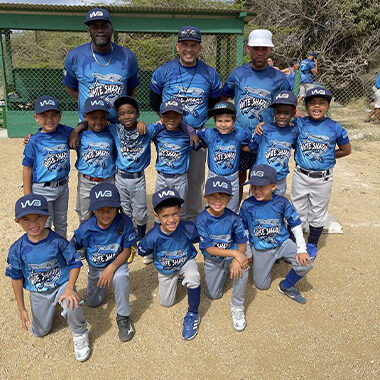 learn to play baseball softball white sharks baseball CBLH